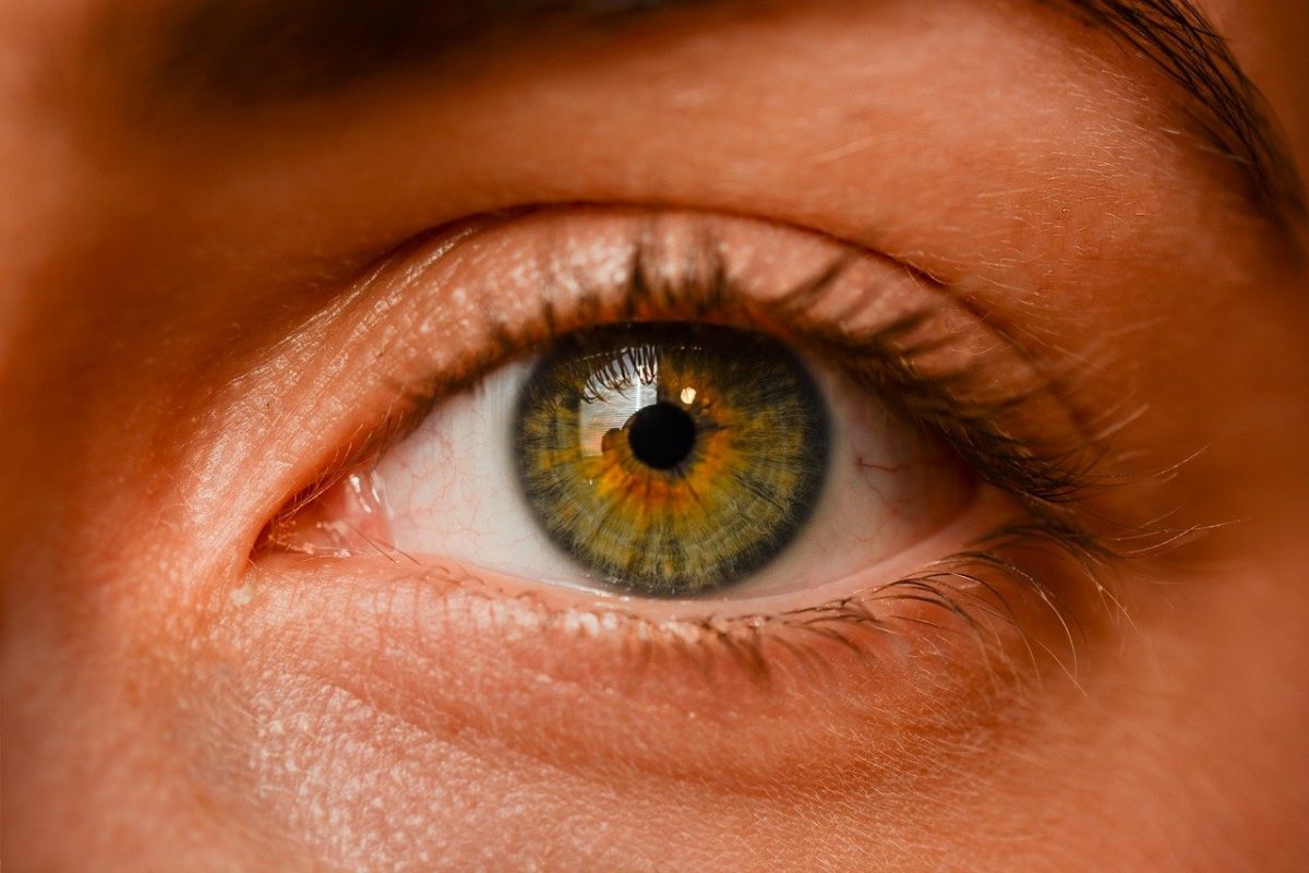 Oczy to wyrafinowany organ. To naturalnie dzięki nim odczuwamy.